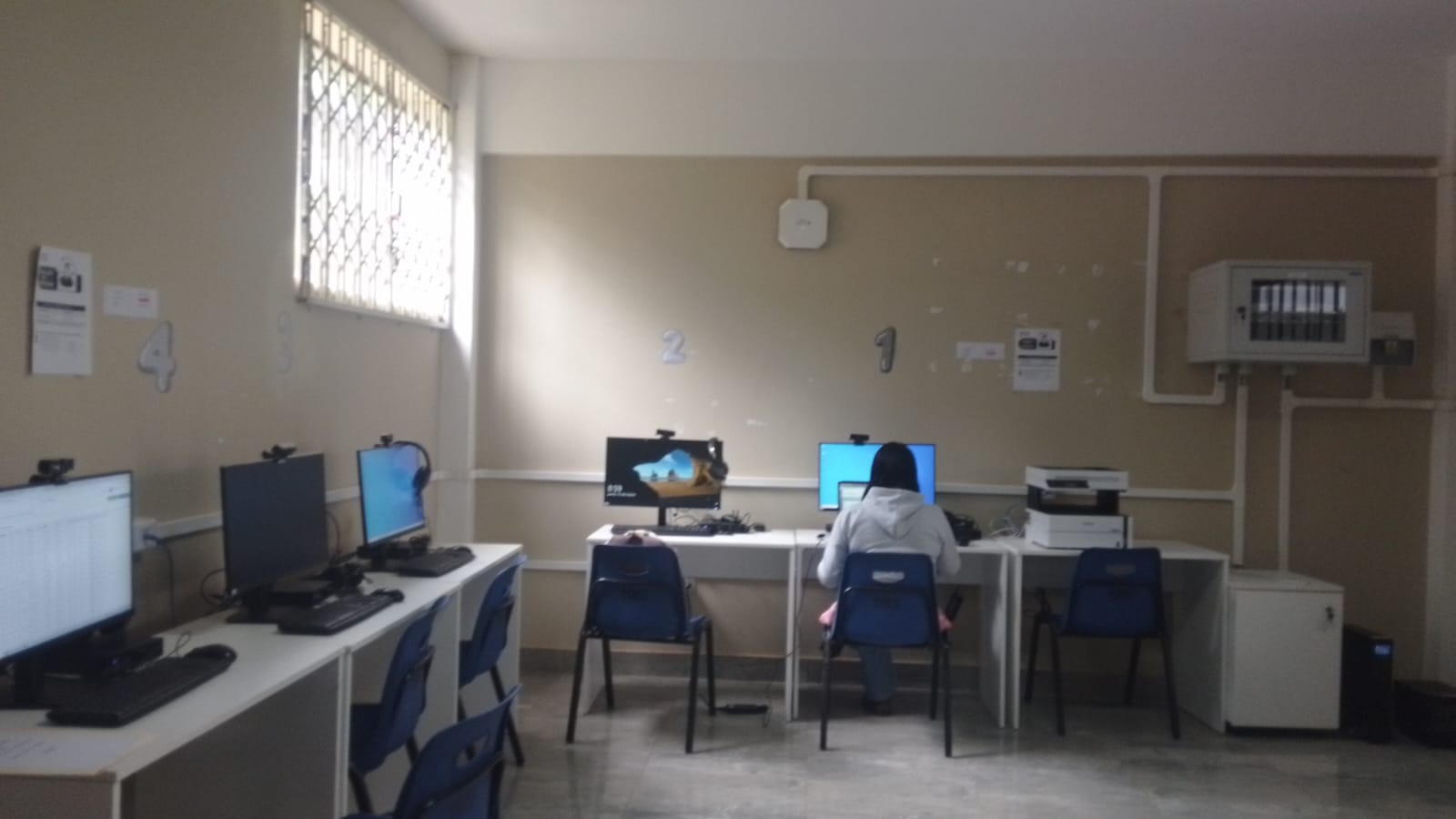 Foto de MOLLEBAMBA - CAD